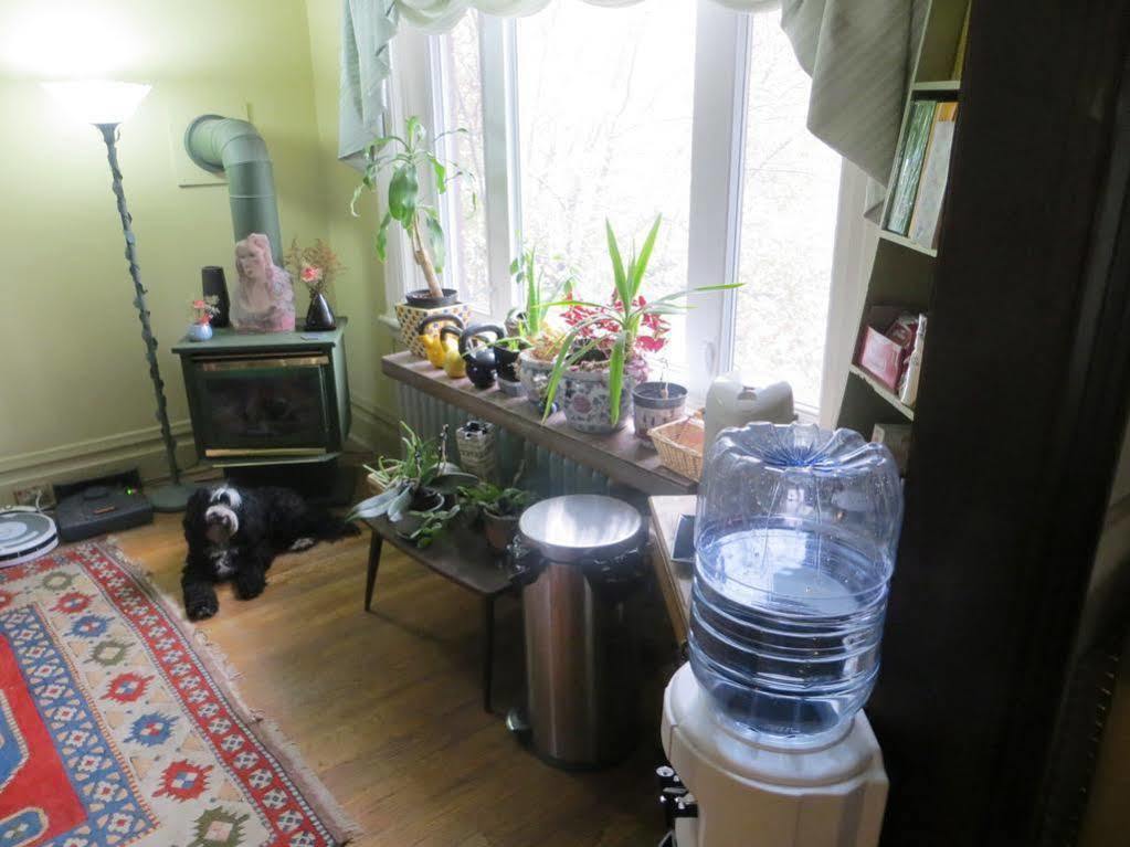 אוטווה Downtown Bed And Breakfast מראה חיצוני תמונה